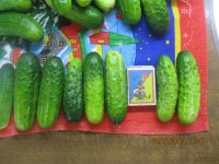 IMG_6611.JPG