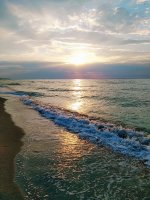 IMG_20190624_055144.jpg