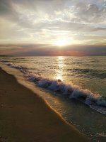 IMG_20190624_055154.jpg