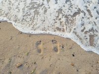 IMG_20190624_055437.jpg