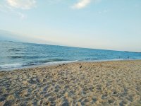 IMG_20190624_060300.jpg