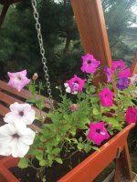BAB4B095-7E6C-4AD6-AB4A-72D674ED7CDC.jpeg