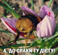FB_IMG_15681456206375826.jpg