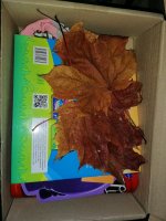 IMG_20191007_124448.jpg