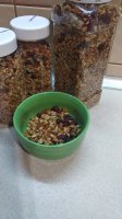 IMG_20190926_073658.jpg