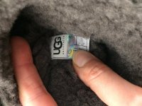 112544320.jpg