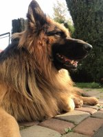 F5FE3682-477B-4DF0-BD7A-473A07D528E1.jpeg
