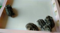 IMG_20191216_145351.jpg