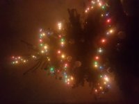 20191222_074839.jpg