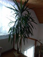 IMG_20191230_104211.jpg
