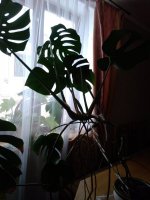 IMG_20191230_104445.jpg