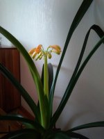 IMG_20191230_103933.jpg