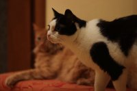 BBB21C96-B11A-4596-A043-1822F17CC1E5.jpeg