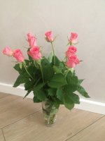 IMG_4869.jpg