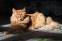 64D0A621-0172-45D1-900F-6701379C43B6.jpeg