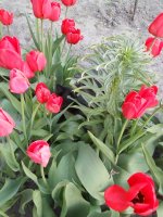 DSCN3936.JPG