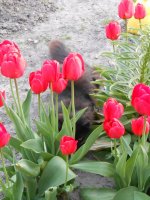 DSCN3935.JPG