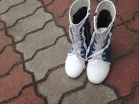IMG_0910.JPG