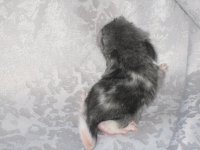 IMG_9419.JPG