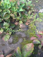 IMG_20200704_165034.jpg
