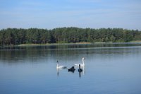 IMG_7567.JPG