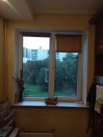 IMG_20200917_182614.jpg