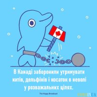 dobri_nowyny2.jpg