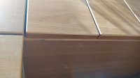 IMG_20201003_135232.jpg