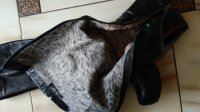 IMG_20201012_101758.jpg