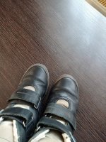 IMG_20201116_101728.jpg