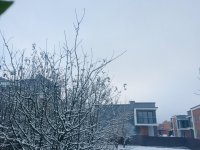 17D4D449-3FA6-41A1-9BA7-EEA27AA287B6.jpeg