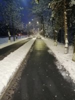 IMG_20201202_072608.jpg