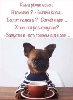 кава.jpg