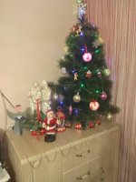 IMG_20201231_153735.jpg