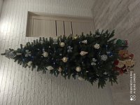 IMG_20201231_152539.jpg