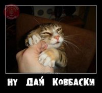 ecc477789b257553aeeabf362f3d08d9.jpg