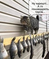 р.jpg