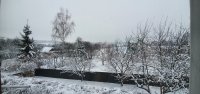 20211209_111024.jpg