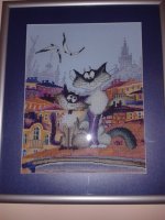 20150505_205605.jpg