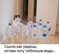 getImage (13).jpg