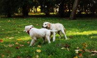 DSC_6827.jpg