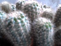 Изображение 002.jpg