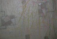 IMG_7749.JPG