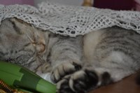 DSC_5380.JPG
