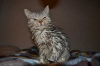 DSC_5412.JPG