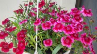 20150607_154506_HDR.jpg