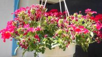 20150607_154513_HDR.jpg