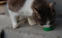 DSC_5844.jpg