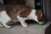 DSC_5841.jpg