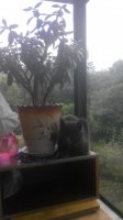20150525150426.jpg